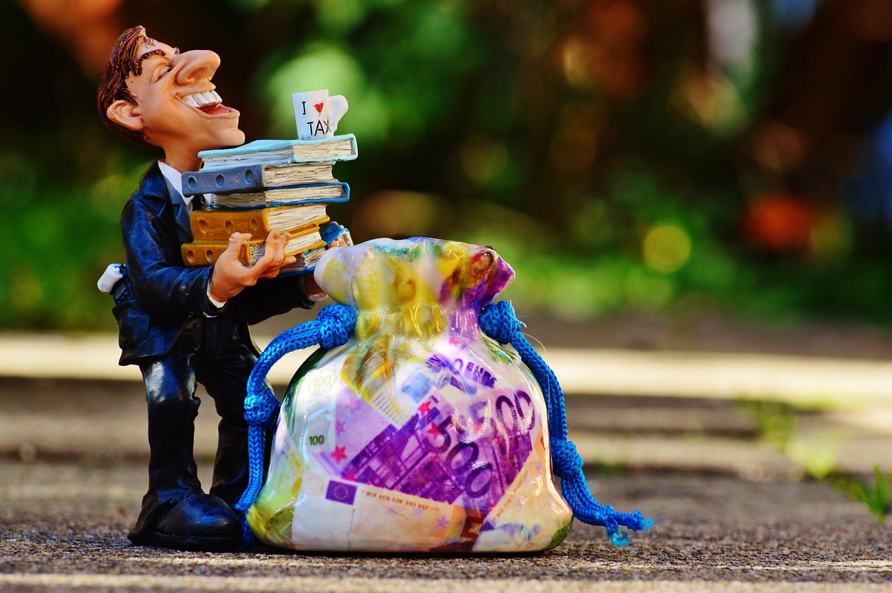 taxes, tax consultant, finance, money, tax return, invoice, income tax, wealth, income tax return, form, files, bureaucracy, tax office, country, fun, taxes, taxes, taxes, taxes, taxes, tax return, in