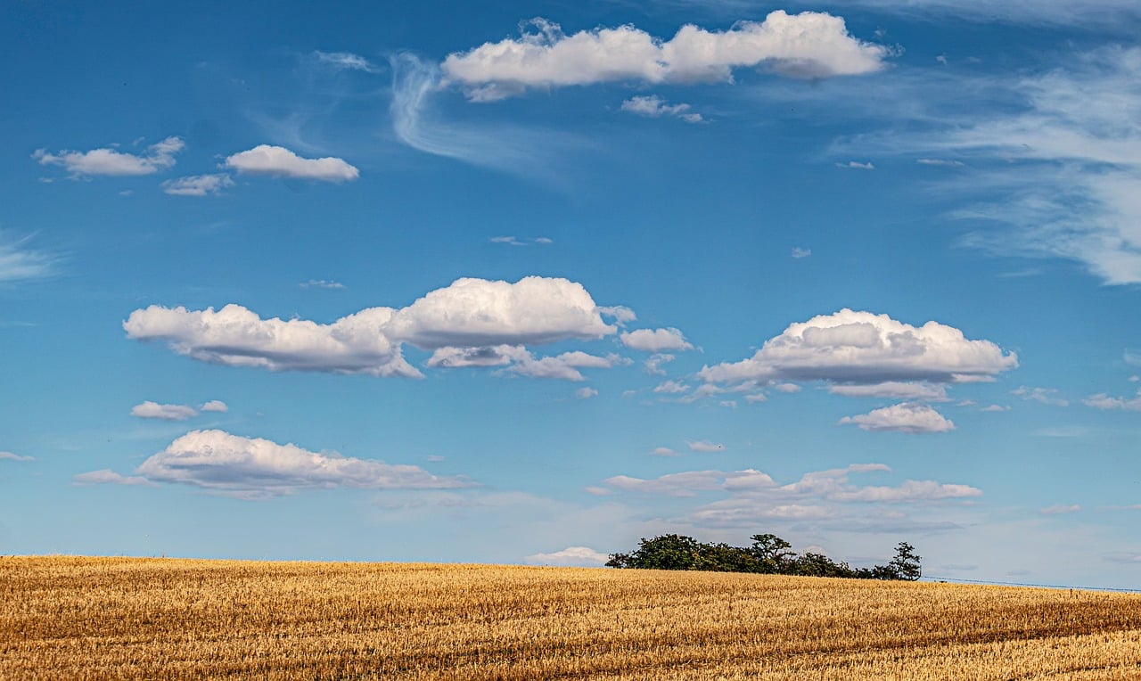 sky, clouds, 4k wallpaper, rural, laptop wallpaper, wheat field, hd wallpaper, 4k wallpaper 1920x1080, wallpaper hd, beautiful wallpaper, summer, windows wallpaper, agriculture, sky background, nature
